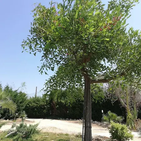 Salento Country House Holiday home *