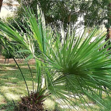 Holiday home Salento Country House Galatone
