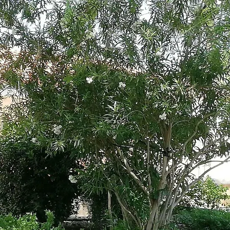 Salento Country House Galatone